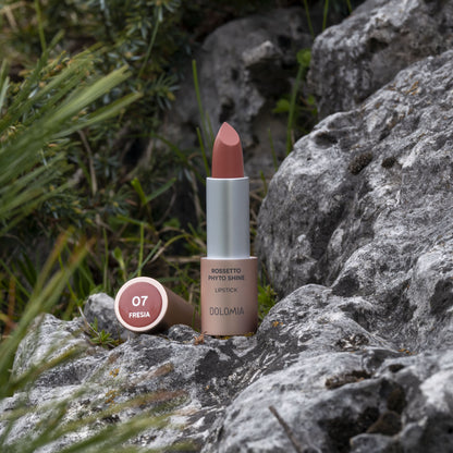 Rossetto Phyto Shine