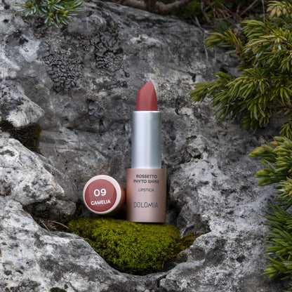 Rossetto Phyto Shine
