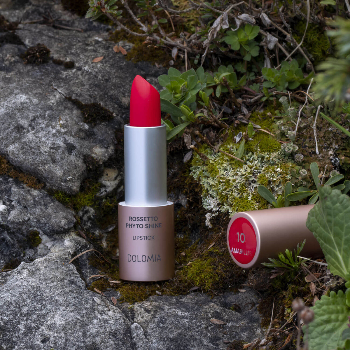 Rossetto Phyto Shine