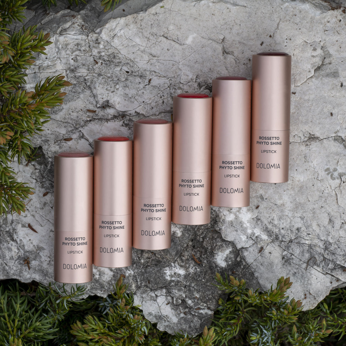 Rossetto Phyto Shine