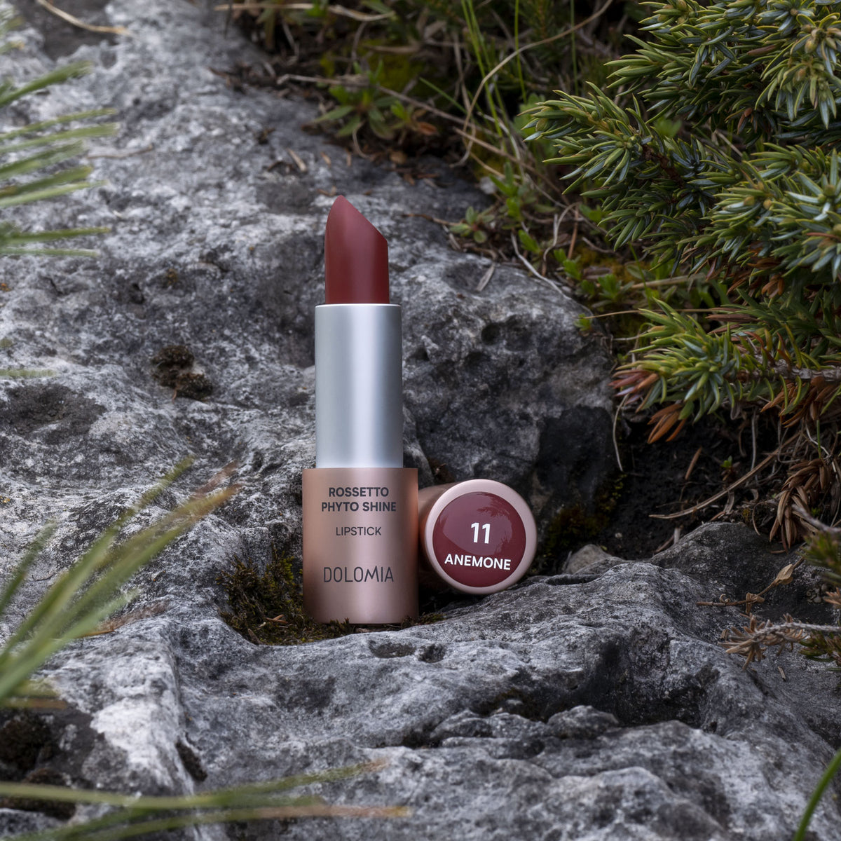 Rossetto Phyto Shine