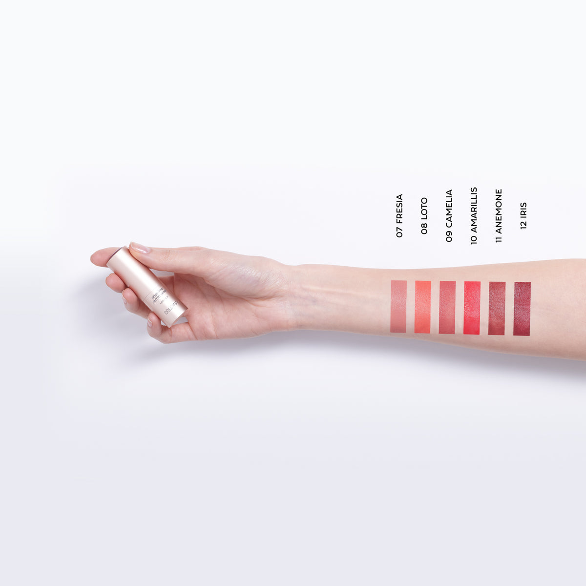 Rossetto Phyto Shine