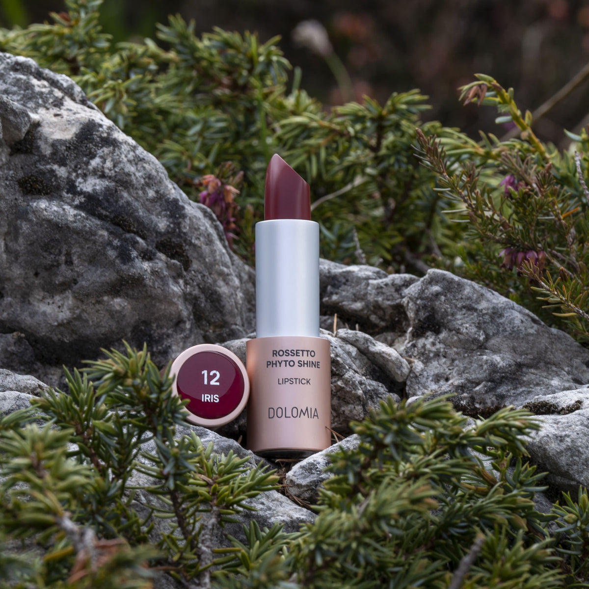 Rossetto Phyto Shine