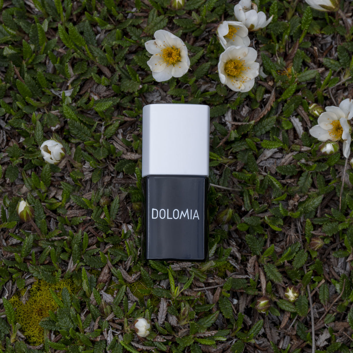 Top Coat UV
