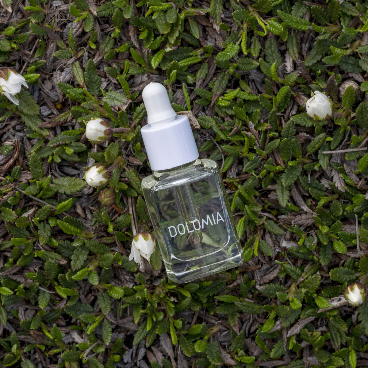 Olio Nutriente