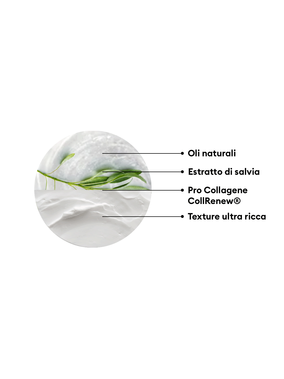 CREMA RASSODANTE NUTRIENTE