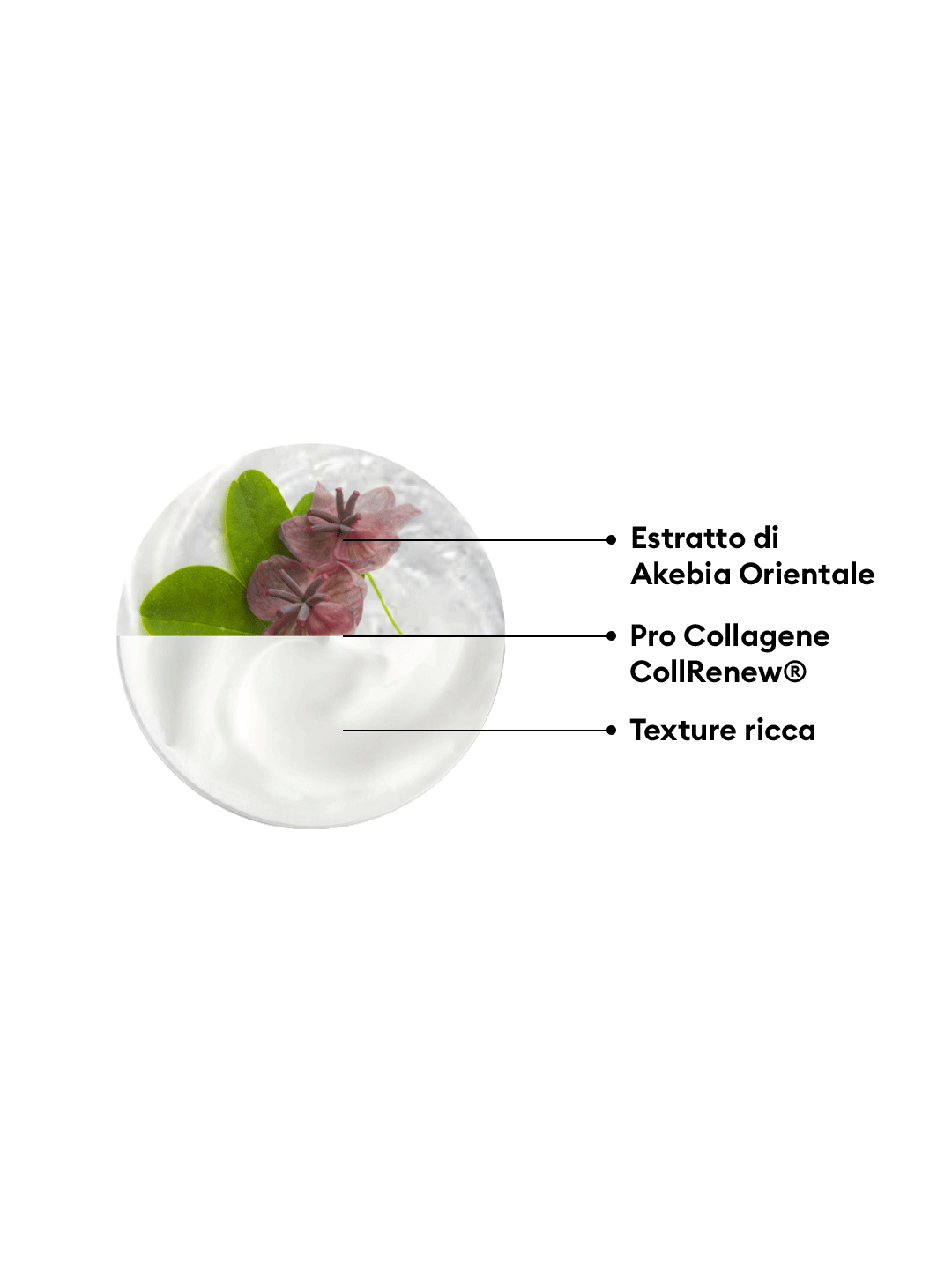 CREMA RASSODANTE LIFTING